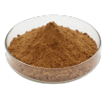 natural antioxidant rosemary extract